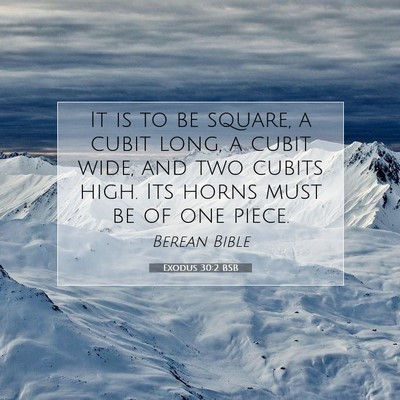 Picture 07 - Exodus 30:2 BSB - It is to be square, a cubit long, a cubit wide, - Bible Verse Picture