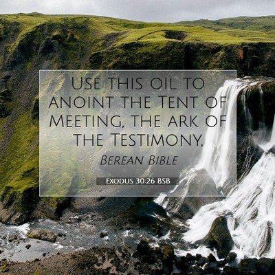 Picture 07 - Exodus 30:26 BSB - Use this oil to anoint the Tent of Meeting, the - Bible Verse Picture