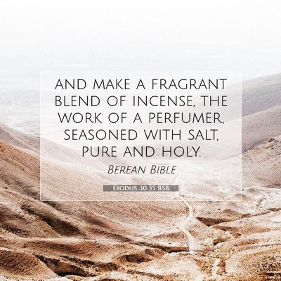 Picture 07 - Exodus 30:35 BSB - and make a fragrant blend of incense, the work of - Bible Verse Picture