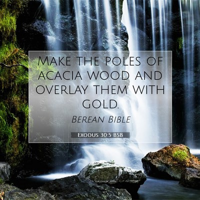Picture 07 - Exodus 30:5 BSB - Make the poles of acacia wood and overlay them - Bible Verse Picture