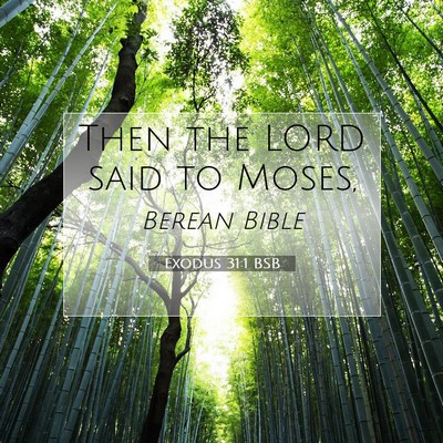 Picture 07 - Exodus 31:1 BSB - Then the LORD said to - Bible Verse Picture
