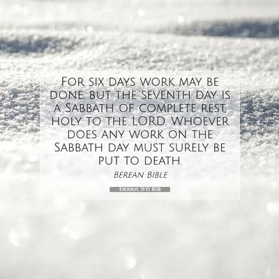 Picture 07 - Exodus 31:15 BSB - For six days work may be done, but the seventh - Bible Verse Picture