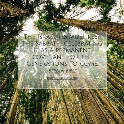 Picture 07 - Exodus 31:16 BSB - The Israelites must keep the Sabbath, celebrating - Bible Verse Picture