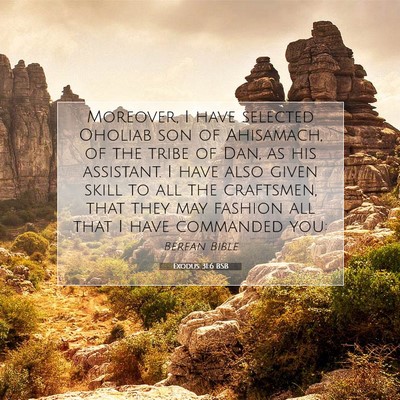 Picture 07 - Exodus 31:6 BSB - Moreover, I have selected Oholiab son of - Bible Verse Picture