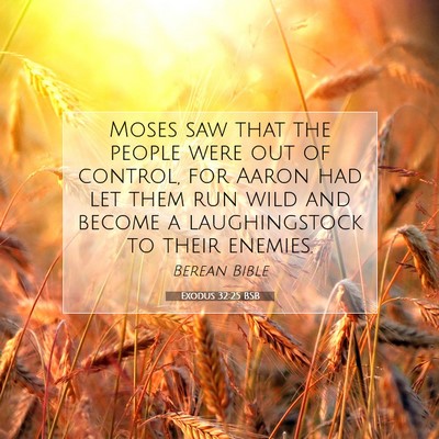 Picture 07 - Exodus 32:25 BSB - Moses saw that the people were out of control, - Bible Verse Picture