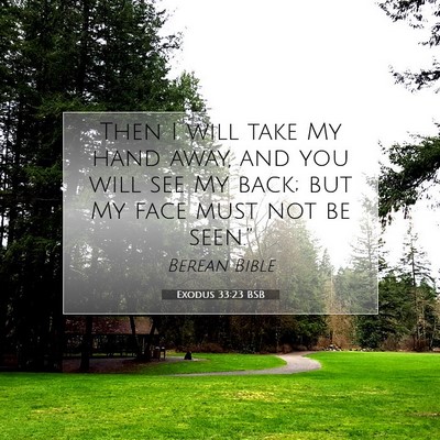 Picture 07 - Exodus 33:23 BSB - Then I will take My hand away, and you will see - Bible Verse Picture