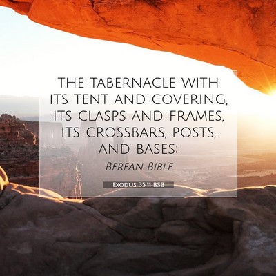 Picture 07 - Exodus 35:11 BSB - the tabernacle with its tent and covering, its - Bible Verse Picture