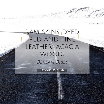 Picture 07 - Exodus 35:7 BSB - ram skins dyed red and fine leather; acacia - Bible Verse Picture