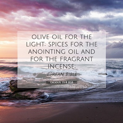 Picture 07 - Exodus 35:8 BSB - olive oil for the light; spices for the anointing - Bible Verse Picture