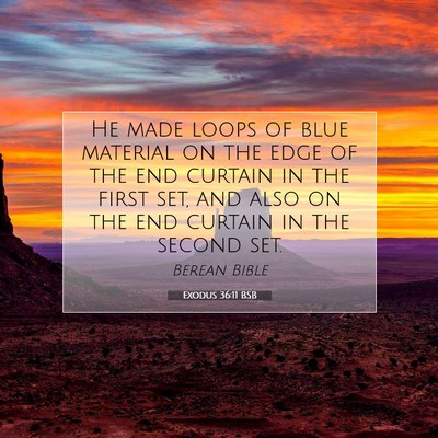 Picture 07 - Exodus 36:11 BSB - He made loops of blue material on the edge of the - Bible Verse Picture