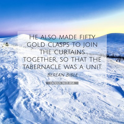 Picture 07 - Exodus 36:13 BSB - He also made fifty gold clasps to join the - Bible Verse Picture