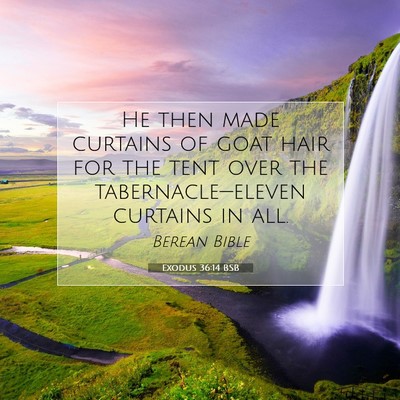Picture 07 - Exodus 36:14 BSB - He then made curtains of goat hair for the tent - Bible Verse Picture