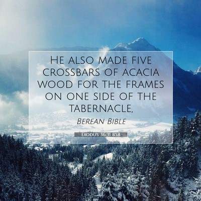 Picture 07 - Exodus 36:31 BSB - He also made five crossbars of acacia wood for - Bible Verse Picture