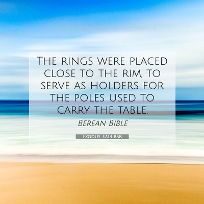 Picture 07 - Exodus 37:14 BSB - The rings were placed close to the rim, to serve - Bible Verse Picture