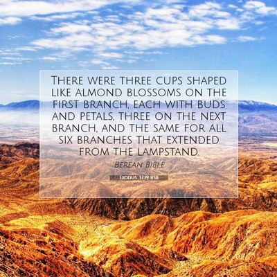 Picture 07 - Exodus 37:19 BSB - There were three cups shaped like almond blossoms - Bible Verse Picture
