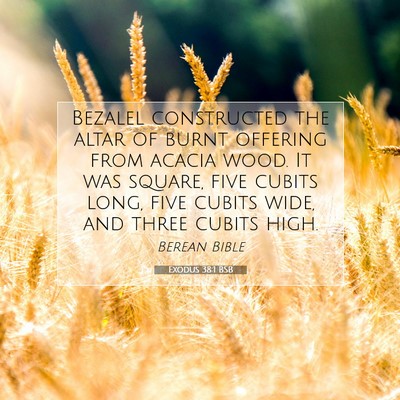 Picture 07 - Exodus 38:1 BSB - Bezalel constructed the altar of burnt offering - Bible Verse Picture