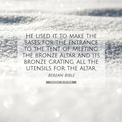Picture 07 - Exodus 38:30 BSB - He used it to make the bases for the entrance to - Bible Verse Picture
