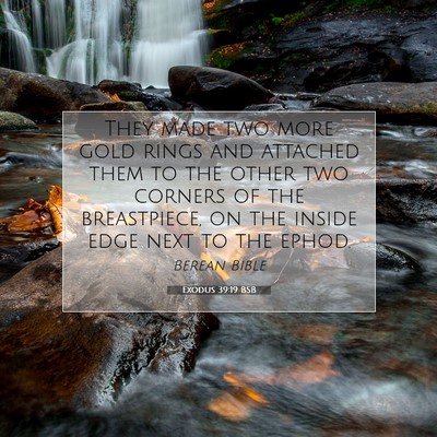 Picture 07 - Exodus 39:19 BSB - They made two more gold rings and attached them - Bible Verse Picture