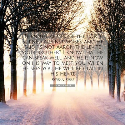Picture 07 - Exodus 4:14 BSB - Then the anger of the LORD burned against Moses, - Bible Verse Picture