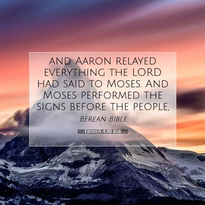 Picture 07 - Exodus 4:30 BSB - and Aaron relayed everything the LORD had said to - Bible Verse Picture