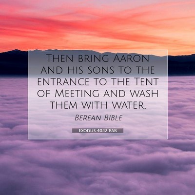 Picture 07 - Exodus 40:12 BSB - Then bring Aaron and his sons to the entrance to - Bible Verse Picture