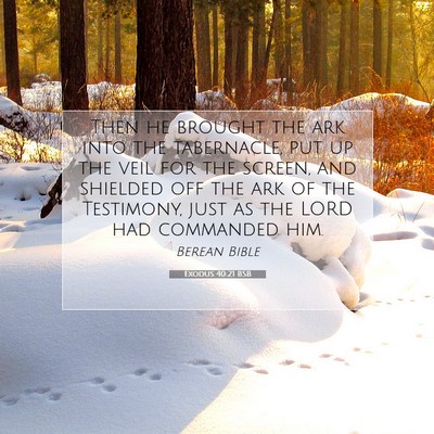 Picture 07 - Exodus 40:21 BSB - Then he brought the ark into the tabernacle, put - Bible Verse Picture