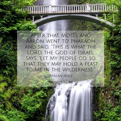 Picture 07 - Exodus 5:1 BSB - After that, Moses and Aaron went to Pharaoh and - Bible Verse Picture