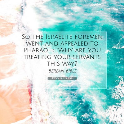 Picture 07 - Exodus 5:15 BSB - So the Israelite foremen went and appealed to - Bible Verse Picture