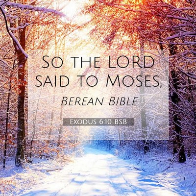 Picture 07 - Exodus 6:10 BSB - So the LORD said to - Bible Verse Picture