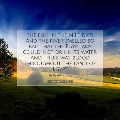 Picture 07 - Exodus 7:21 BSB - The fish in the Nile died, and the river smelled - Bible Verse Picture