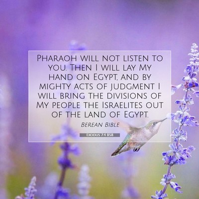 Picture 07 - Exodus 7:4 BSB - Pharaoh will not listen to you. Then I will lay - Bible Verse Picture
