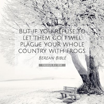 Picture 07 - Exodus 8:2 BSB - But if you refuse to let them go, I will plague - Bible Verse Picture
