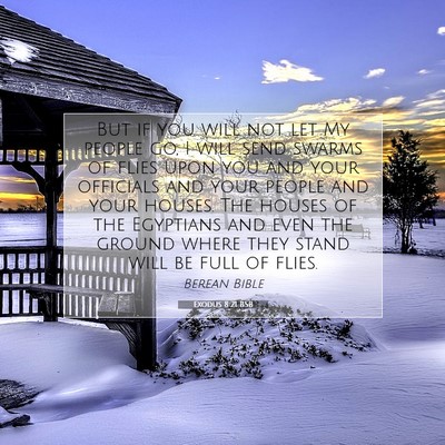 Picture 07 - Exodus 8:21 BSB - But if you will not let My people go, I will send - Bible Verse Picture
