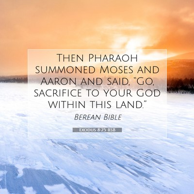Picture 07 - Exodus 8:25 BSB - Then Pharaoh summoned Moses and Aaron and said, - Bible Verse Picture