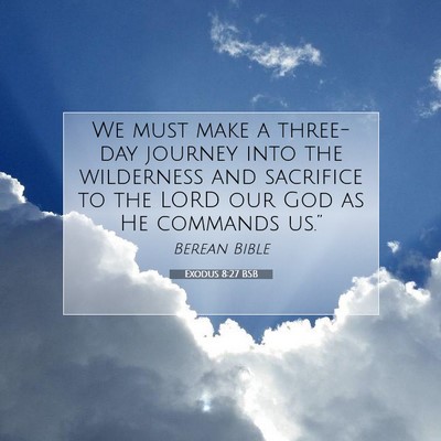 Picture 07 - Exodus 8:27 BSB - We must make a three-day journey into the - Bible Verse Picture