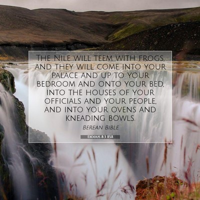 Picture 07 - Exodus 8:3 BSB - The Nile will teem with frogs, and they will come - Bible Verse Picture