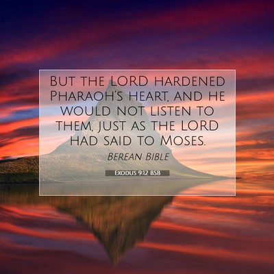Picture 07 - Exodus 9:12 BSB - But the LORD hardened Pharaoh’s heart, and he - Bible Verse Picture