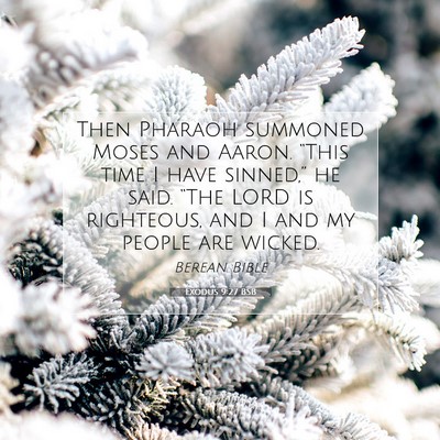 Picture 07 - Exodus 9:27 BSB - Then Pharaoh summoned Moses and Aaron. “This - Bible Verse Picture