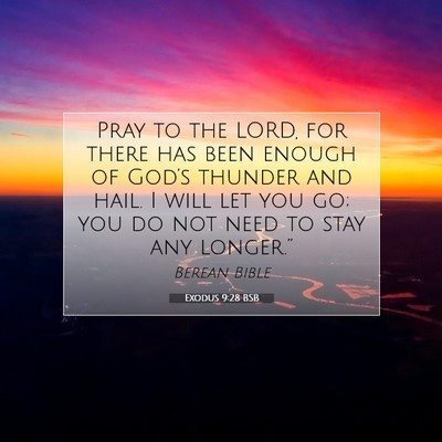 Picture 07 - Exodus 9:28 BSB - Pray to the LORD, for there has been enough of - Bible Verse Picture