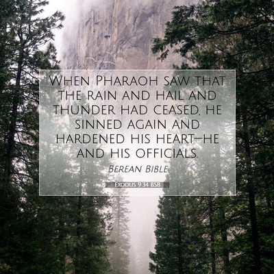 Picture 07 - Exodus 9:34 BSB - When Pharaoh saw that the rain and hail and - Bible Verse Picture