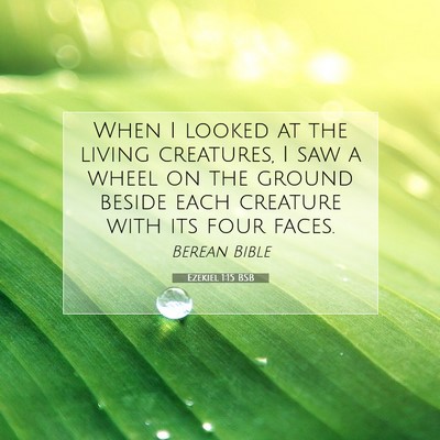 Picture 07 - Ezekiel 1:15 BSB - When I looked at the living creatures, I saw a - Bible Verse Picture