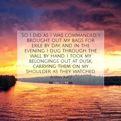 Picture 07 - Ezekiel 12:7 BSB - So I did as I was commanded. I brought out my - Bible Verse Picture