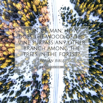 Picture 07 - Ezekiel 15:2 BSB - “Son of man, how does the wood of the vine - Bible Verse Picture