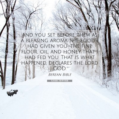 Picture 07 - Ezekiel 16:19 BSB - And you set before them as a pleasing aroma the - Bible Verse Picture