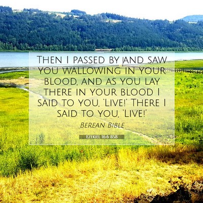 Picture 07 - Ezekiel 16:6 BSB - Then I passed by and saw you wallowing in your - Bible Verse Picture