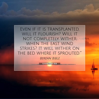 Picture 07 - Ezekiel 17:10 BSB - Even if it is transplanted, will it flourish? - Bible Verse Picture