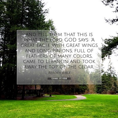 Picture 07 - Ezekiel 17:3 BSB - and tell them that this is what the Lord GOD - Bible Verse Picture