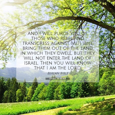 Picture 07 - Ezekiel 20:38 BSB - And I will purge you of those who rebel and - Bible Verse Picture