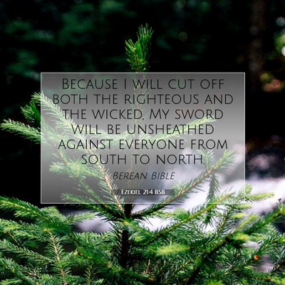 Picture 07 - Ezekiel 21:4 BSB - Because I will cut off both the righteous and the - Bible Verse Picture