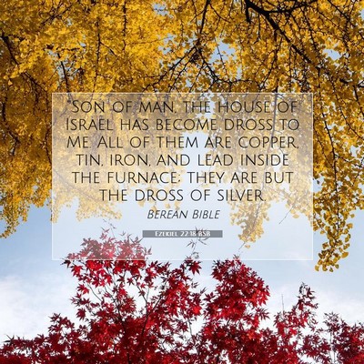 Picture 07 - Ezekiel 22:18 BSB - “Son of man, the house of Israel has become - Bible Verse Picture